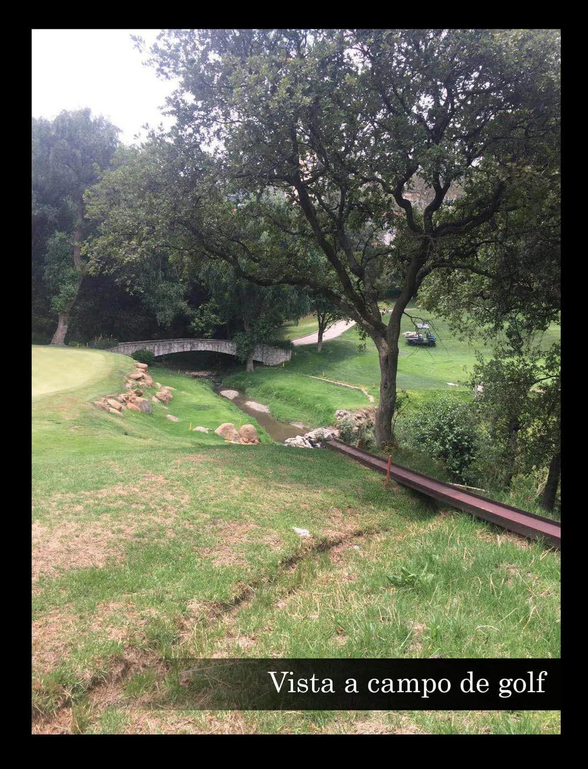 Lote Bosque Real 1100 m2 colindante con campo 2